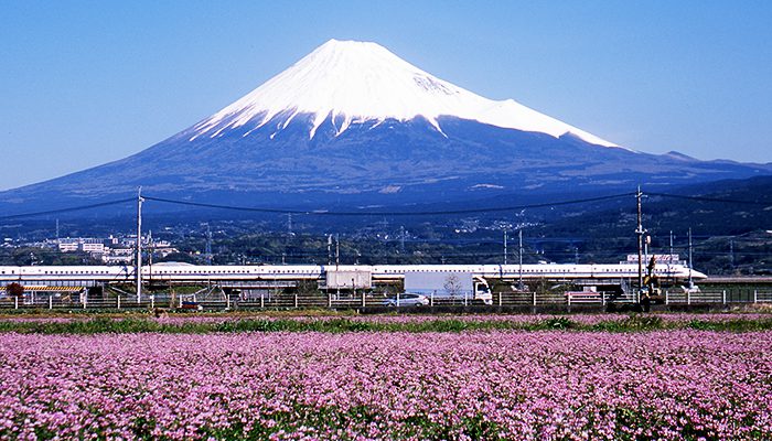 Những hình ảnh đẹp ngây ngất của đất nước Nhật Bản